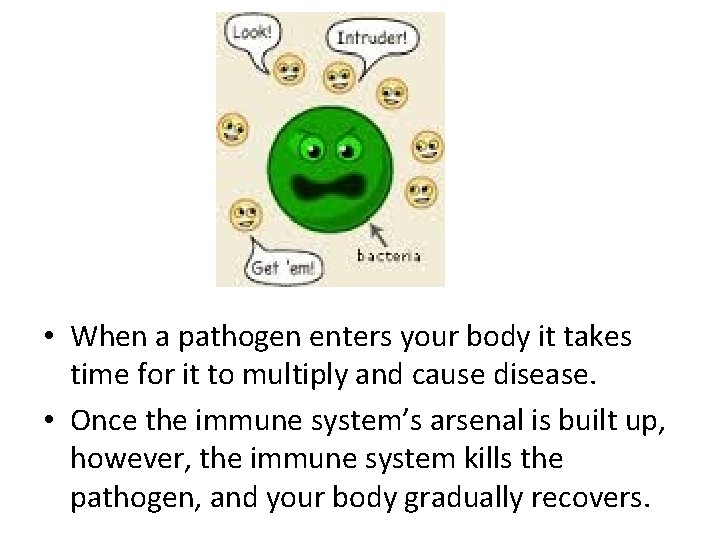  • When a pathogen enters your body it takes time for it to