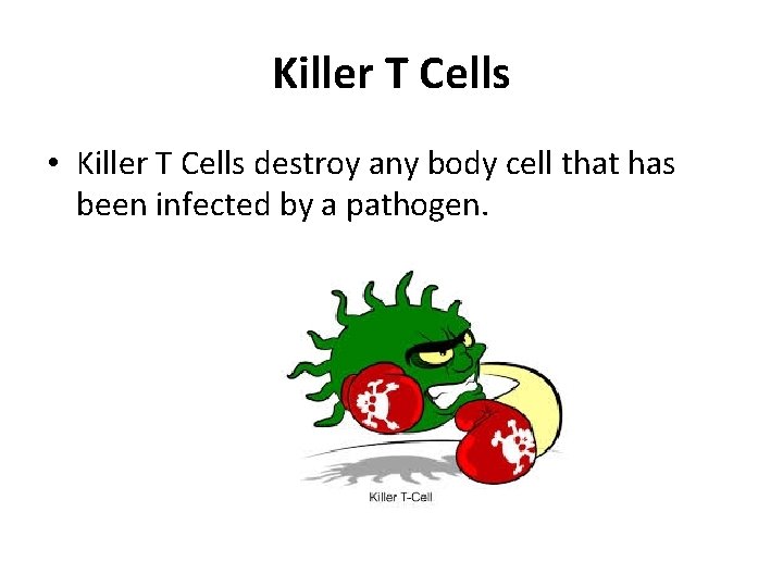 Killer T Cells • Killer T Cells destroy any body cell that has been