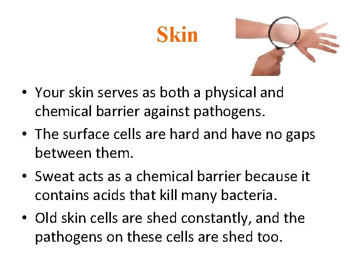 Skin • Your skin serves as both a physical and chemical barrier against pathogens.