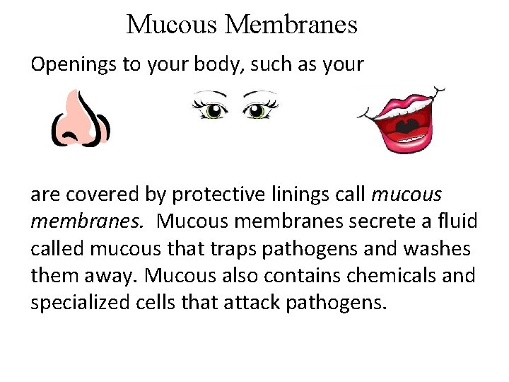 Mucous Membranes Openings to your body, such as your are covered by protective linings