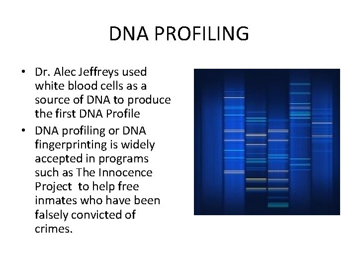 DNA PROFILING • Dr. Alec Jeffreys used white blood cells as a source of