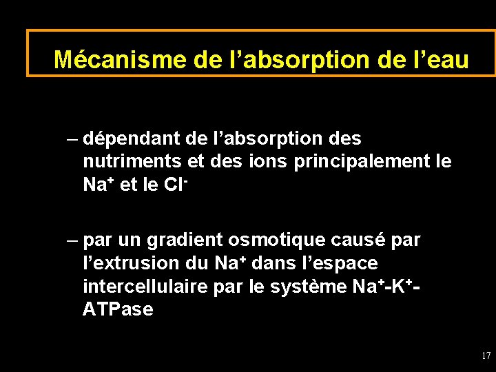 Mécanisme de l’absorption de l’eau – dépendant de l’absorption des nutriments et des ions