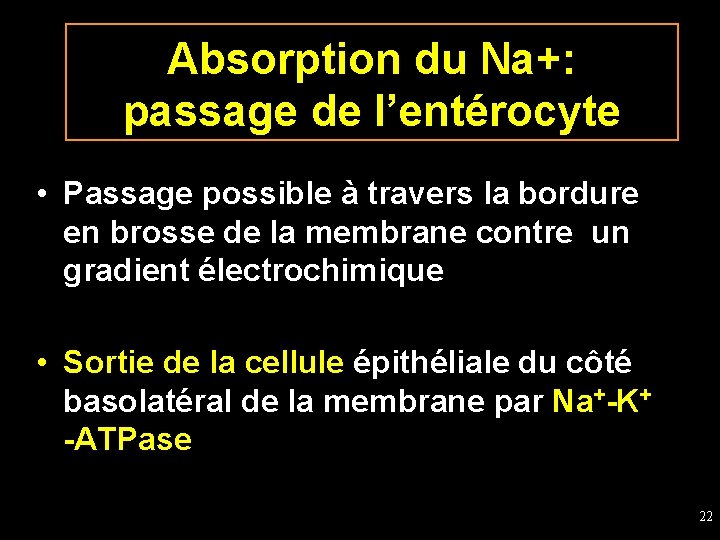 Absorption du Na+: passage de l’entérocyte • Passage possible à travers la bordure en