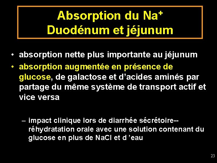 Absorption du Na+ Duodénum et jéjunum • absorption nette plus importante au jéjunum •