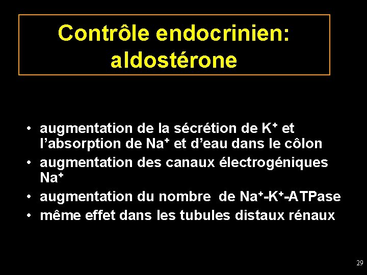 Contrôle endocrinien: aldostérone • augmentation de la sécrétion de K+ et l’absorption de Na+