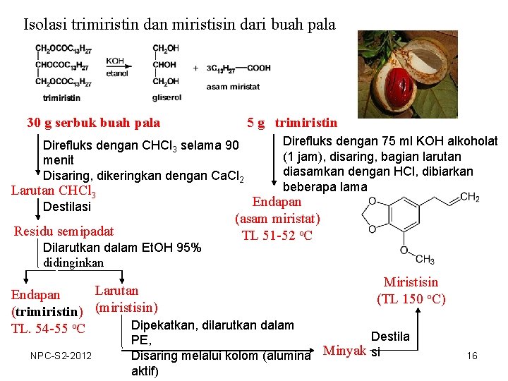 Isolasi trimiristin dan miristisin dari buah pala 30 g serbuk buah pala 5 g