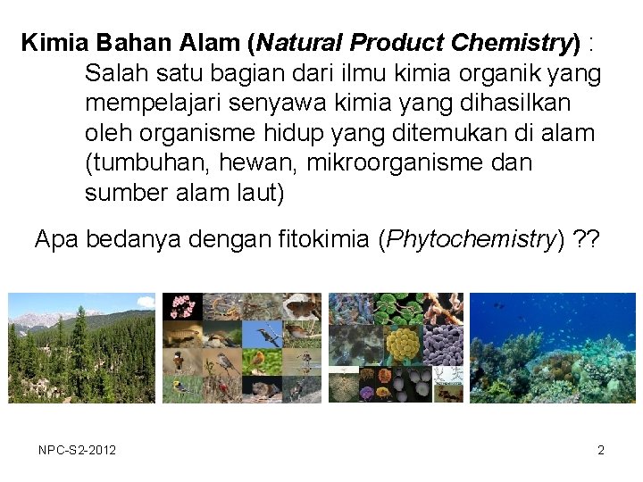 Kimia Bahan Alam (Natural Product Chemistry) : Salah satu bagian dari ilmu kimia organik