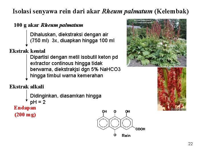 Isolasi senyawa rein dari akar Rheum palmatum (Kelembak) 100 g akar Rheum palmatum Dihaluskan,