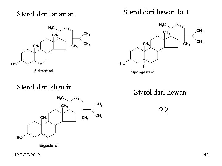 Sterol dari tanaman Sterol dari khamir Sterol dari hewan laut Sterol dari hewan ?