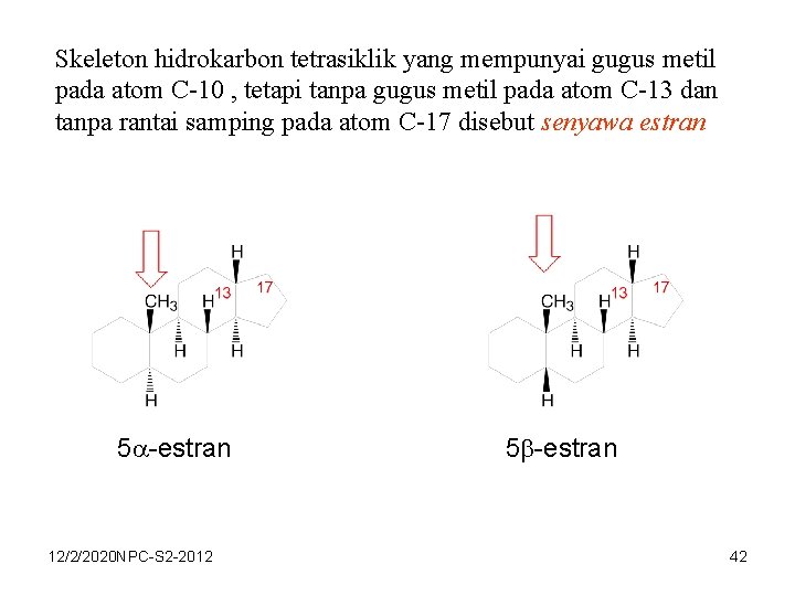 Skeleton hidrokarbon tetrasiklik yang mempunyai gugus metil pada atom C-10 , tetapi tanpa gugus