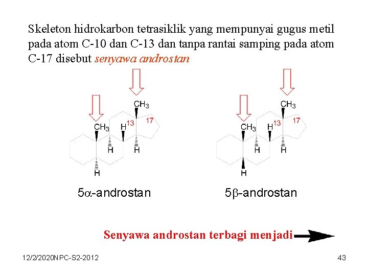 Skeleton hidrokarbon tetrasiklik yang mempunyai gugus metil pada atom C-10 dan C-13 dan tanpa