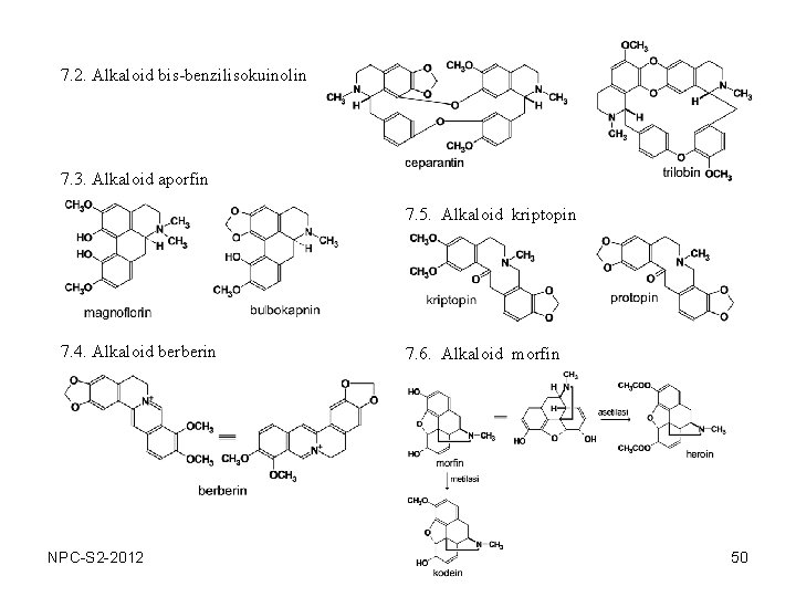 7. 2. Alkaloid bis-benzilisokuinolin 7. 3. Alkaloid aporfin 7. 5. Alkaloid kriptopin 7. 4.