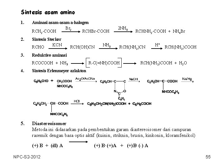 Sintesis asam amino 1. 2. 3. Aminasi asam-asam a-halogen Br 2 RCH 2 -COOH