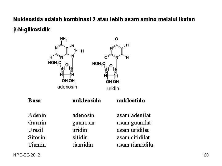 Nukleosida adalah kombinasi 2 atau lebih asam amino melalui ikatan b-N-glikosidik Basa nukleosida nukleotida