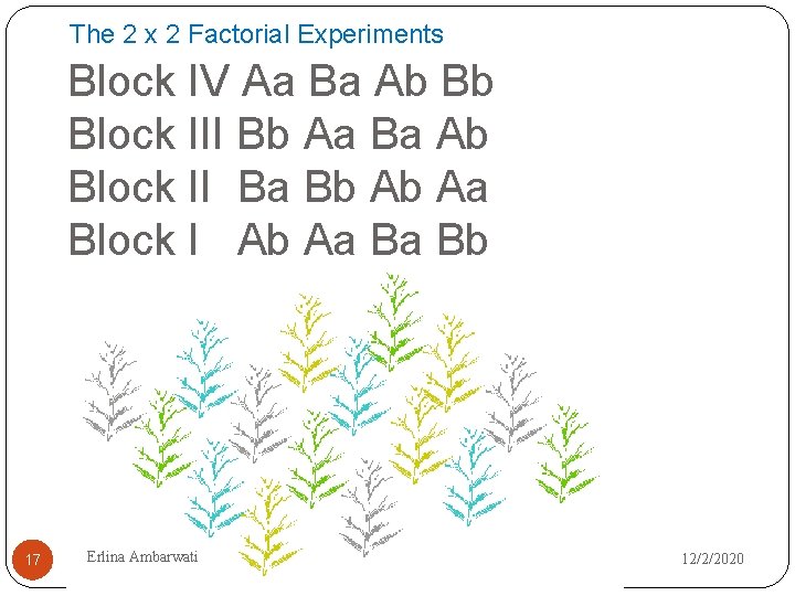 The 2 x 2 Factorial Experiments Block IV Aa Ba Ab Bb Block III