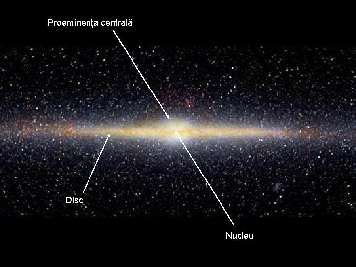 Proeminenţa centrală Disc Nucleu 