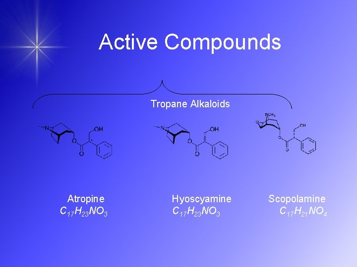 Active Compounds Tropane Alkaloids Atropine C 17 H 23 NO 3 Hyoscyamine C 17