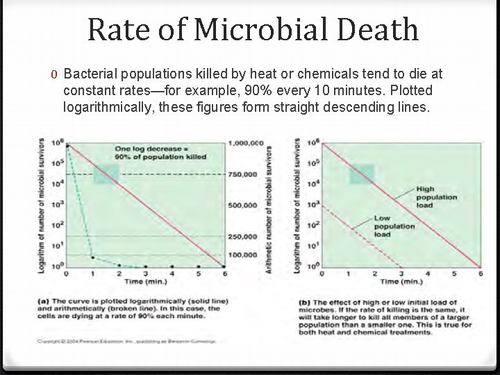 Rate of Microbial Death 0 Bacterial populations killed by heat or chemicals tend to