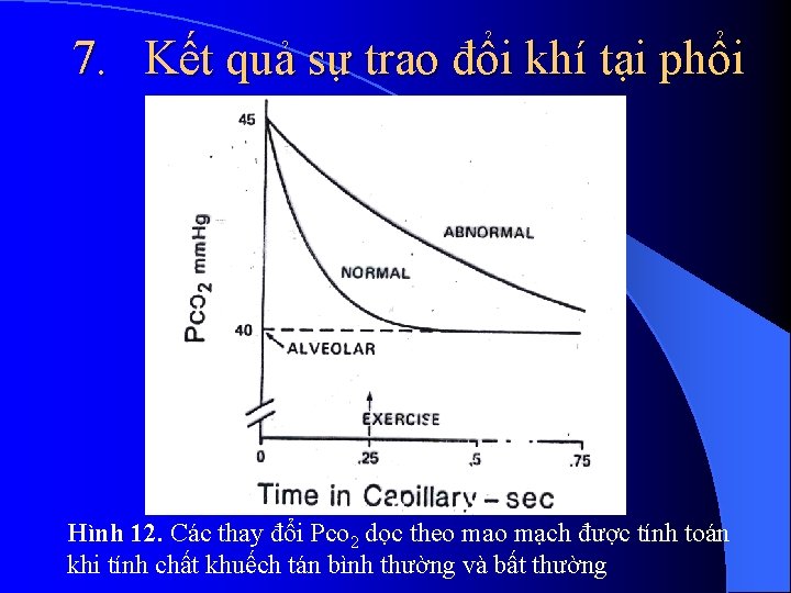 7. Kết quả sự trao đổi khí tại phổi Hình 12. Các thay đổi