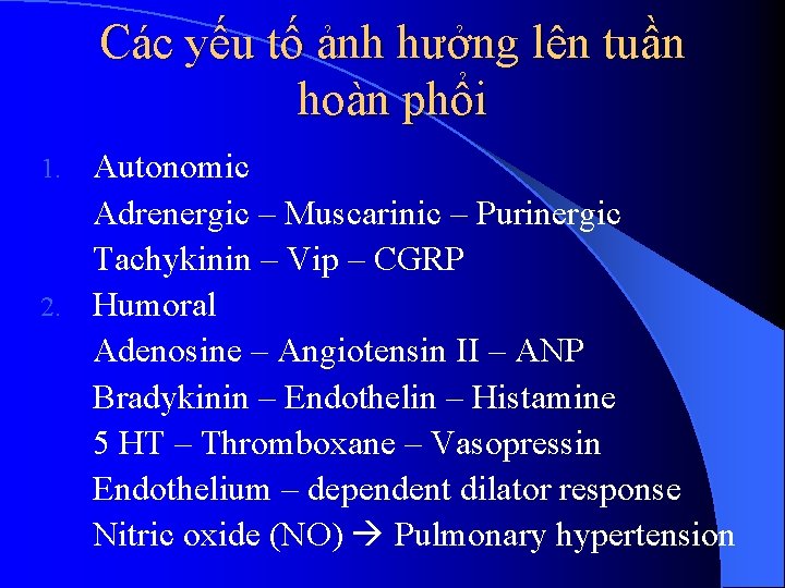 Các yếu tố ảnh hưởng lên tuần hoàn phổi Autonomic Adrenergic – Muscarinic –