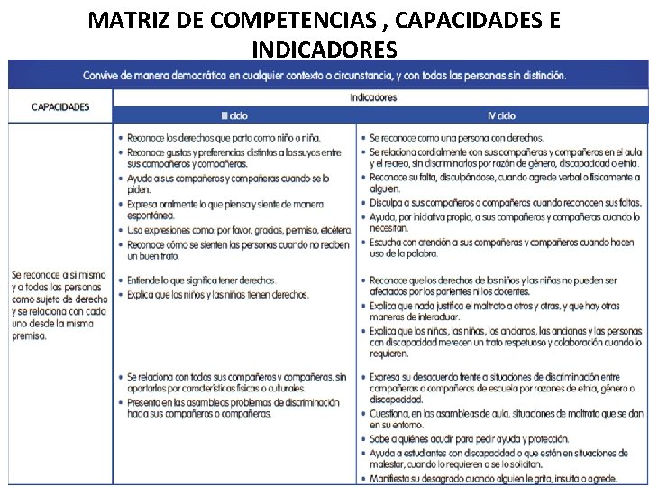 MATRIZ DE COMPETENCIAS , CAPACIDADES E INDICADORES 