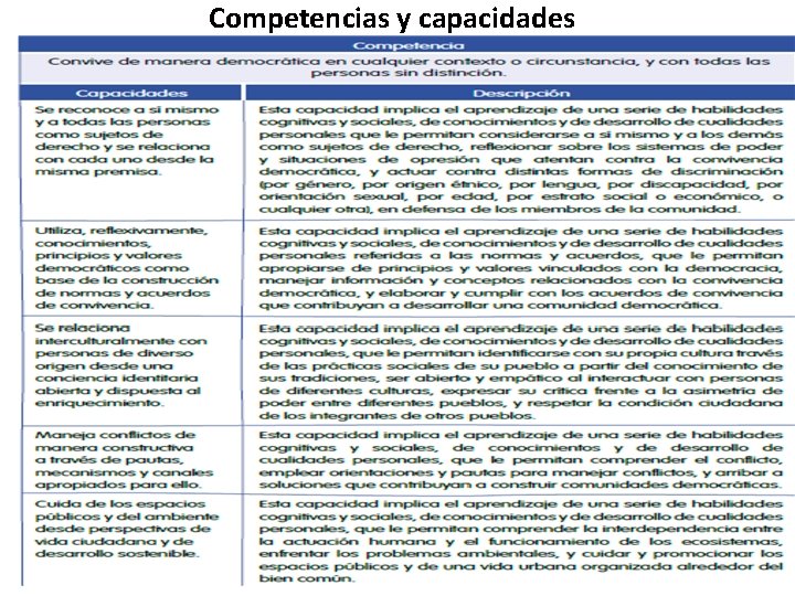 Competencias y capacidades 