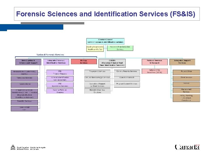 Slide 3 Forensic Sciences and Identification Services (FS&IS) 