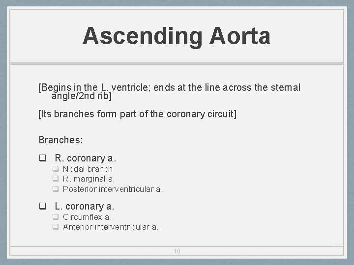 Ascending Aorta [Begins in the L. ventricle; ends at the line across the sternal