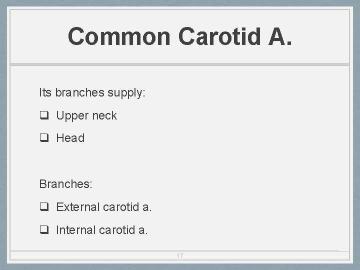 Common Carotid A. Its branches supply: q Upper neck q Head Branches: q External