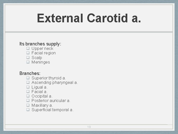 External Carotid a. Its branches supply: q q Upper neck Facial region Scalp Meninges