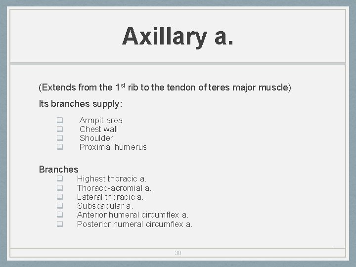 Axillary a. (Extends from the 1 st rib to the tendon of teres major