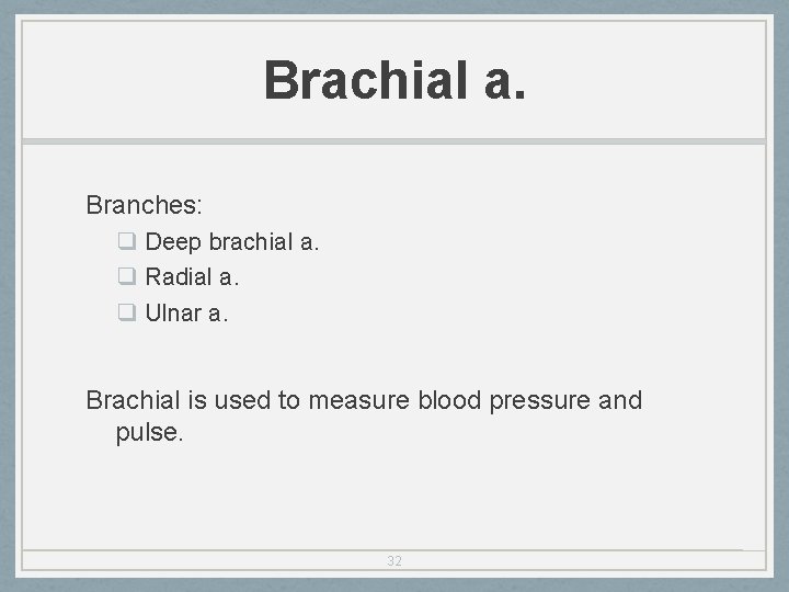 Brachial a. Branches: q Deep brachial a. q Radial a. q Ulnar a. Brachial