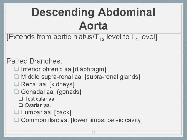 Descending Abdominal Aorta [Extends from aortic hiatus/T 12 level to L 4 level] Paired