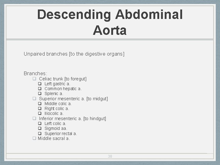 Descending Abdominal Aorta Unpaired branches [to the digestive organs] Branches: q Celiac trunk [to