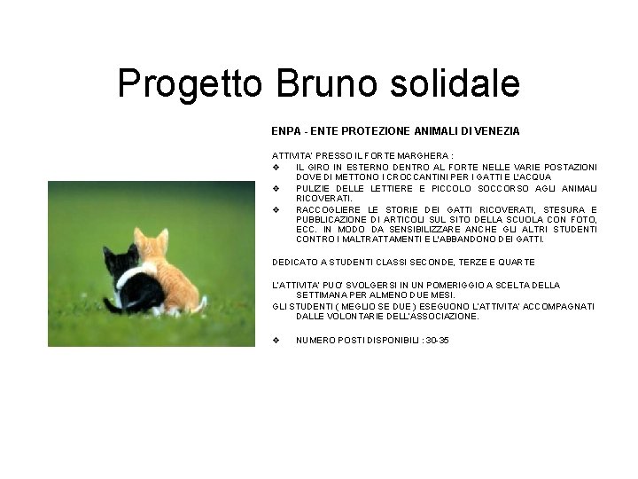 Progetto Bruno solidale ENPA - ENTE PROTEZIONE ANIMALI DI VENEZIA ATTIVITA’ PRESSO IL FORTE