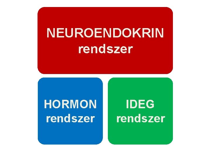 NEUROENDOKRIN rendszer HORMON rendszer IDEG rendszer NEUROENDOKRIN rendszer HORMON rendszer IDEG rendszer