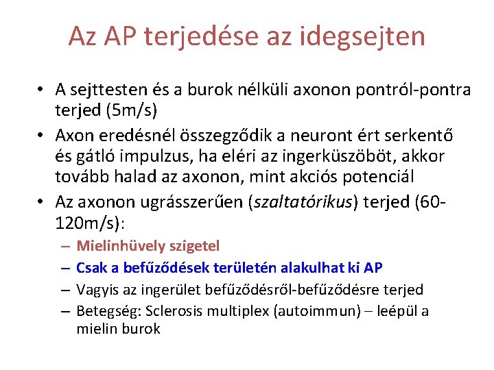 Az AP terjedése az idegsejten • A sejttesten és a burok nélküli axonon pontról-pontra Az AP terjedése az idegsejten • A sejttesten és a burok nélküli axonon pontról-pontra