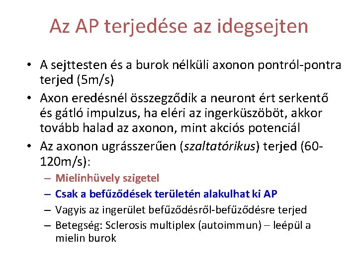 Az AP terjedése az idegsejten • A sejttesten és a burok nélküli axonon pontról-pontra