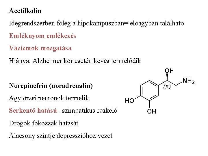 Acetilkolin Idegrendszerben főleg a hipokampuszban= előagyban található Emléknyom emlékezés Vázizmok mozgatása Hiánya: Alzheimer kór Acetilkolin Idegrendszerben főleg a hipokampuszban= előagyban található Emléknyom emlékezés Vázizmok mozgatása Hiánya: Alzheimer kór