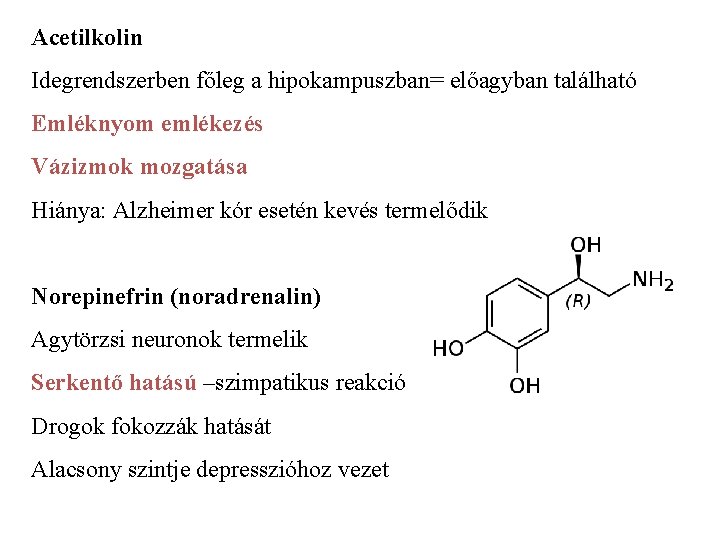 Acetilkolin Idegrendszerben főleg a hipokampuszban= előagyban található Emléknyom emlékezés Vázizmok mozgatása Hiánya: Alzheimer kór