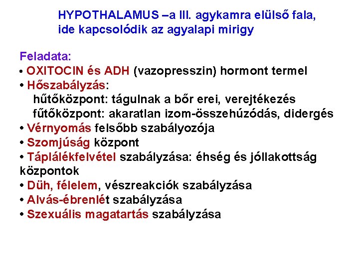 HYPOTHALAMUS –a III. agykamra elülső fala, ide kapcsolódik az agyalapi mirigy Feladata: • OXITOCIN HYPOTHALAMUS –a III. agykamra elülső fala, ide kapcsolódik az agyalapi mirigy Feladata: • OXITOCIN
