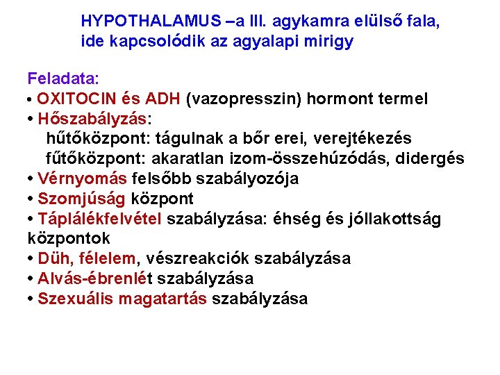 HYPOTHALAMUS –a III. agykamra elülső fala, ide kapcsolódik az agyalapi mirigy Feladata: • OXITOCIN