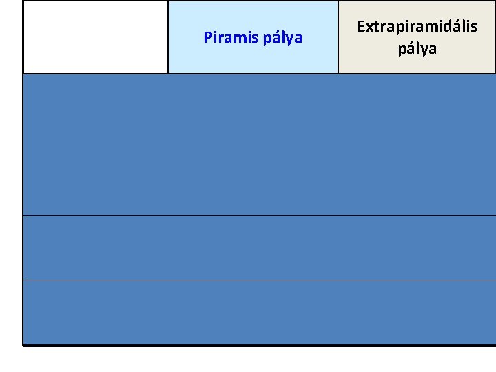 Piramis pálya Extrapiramidális pálya Jellemzői Automatikus, egyénre Finomabb, pontosabb jellemző mozgások Kevésbé differenciált Be Piramis pálya Extrapiramidális pálya Jellemzői Automatikus, egyénre Finomabb, pontosabb jellemző mozgások Kevésbé differenciált Be