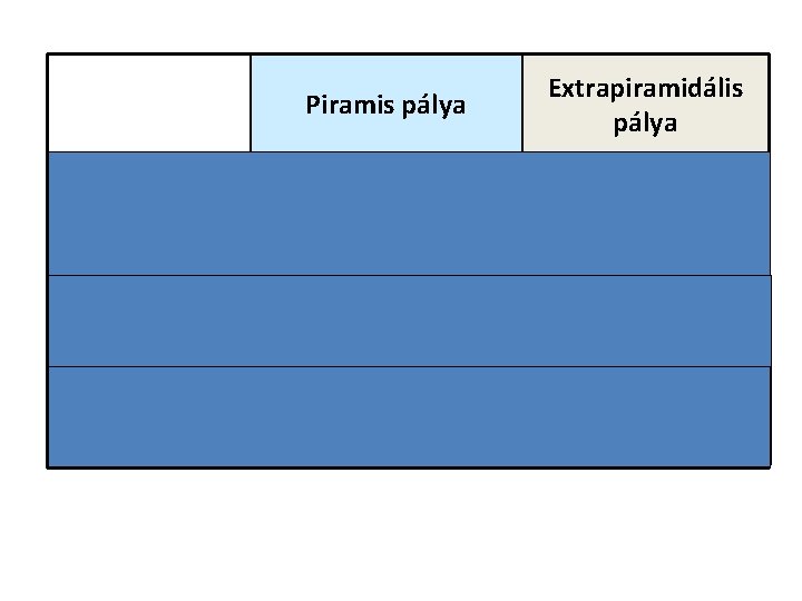 Piramis pálya Leszálló pálya vége sérülése Extrapiramidális pálya Gerincvelő fehérállományának elülső kötege Gerincvelő elülső