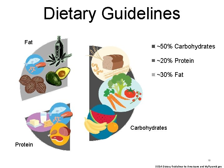 Dietary Guidelines Fat ~50% Carbohydrates ~20% Protein ~30% Fat Carbohydrates Protein 18 USDA Dietary
