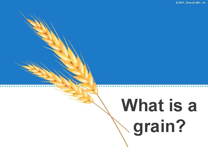 © 2009, General Mills, Inc. What is a grain? 