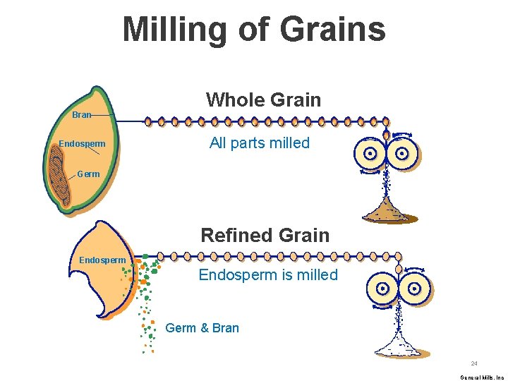 Milling of Grains Bran Endosperm Whole Grain All parts milled Germ Refined Grain Endosperm