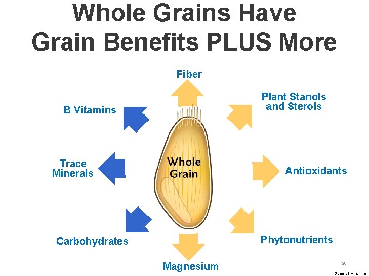 Whole Grains Have Grain Benefits PLUS More Fiber Plant Stanols and Sterols B Vitamins