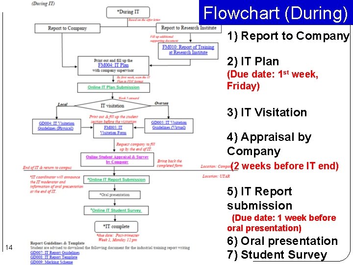 Flowchart (During) 1) Report to Company 2) IT Plan (Due date: 1 st week,