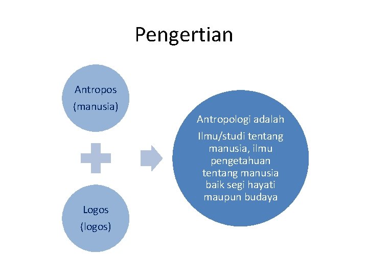 Pengertian Antropos (manusia) Logos (logos) Antropologi adalah Ilmu/studi tentang manusia, ilmu pengetahuan tentang manusia